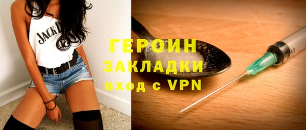 индика Алексин