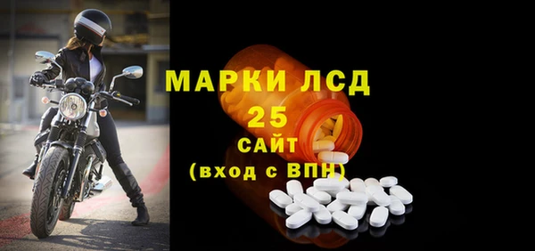 индика Алексин