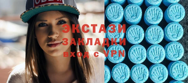 индика Алексин