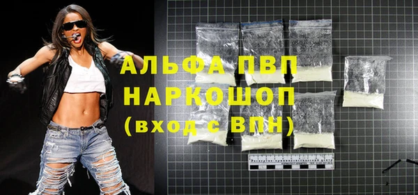 индика Алексин