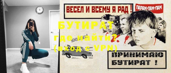 индика Алексин