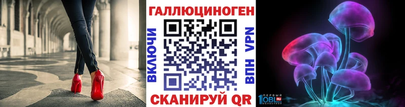 Галлюциногенные грибы Psilocybine cubensis Муравленко