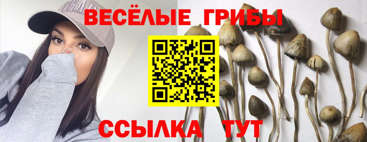 Галлюциногенные грибы Magic Shrooms  Вход с VPN  Муравленко 